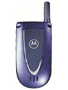 Best available price of Motorola V66i in Djibouti